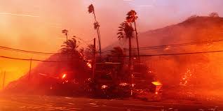 Los Angeles wildfires devour thousands of homes, death toll rises to 10